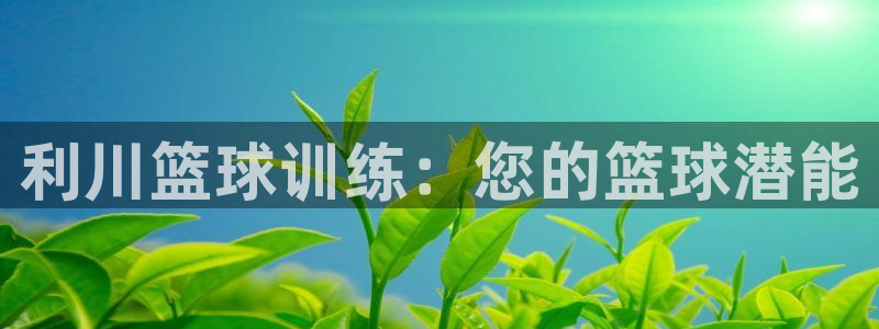凯时kb88会员登录：利川篮球训练：您的篮球潜能