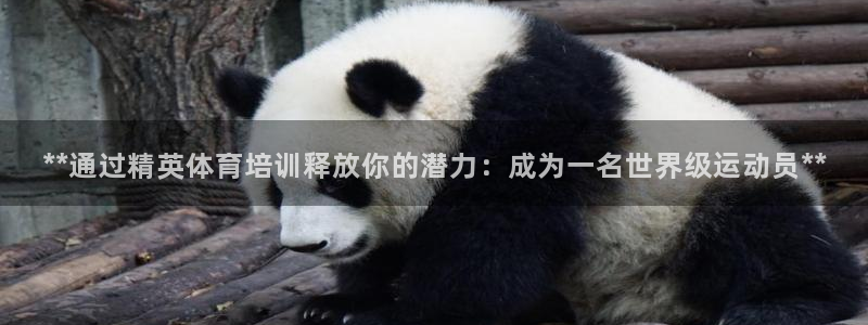 尊龙凯时怎么注销账号