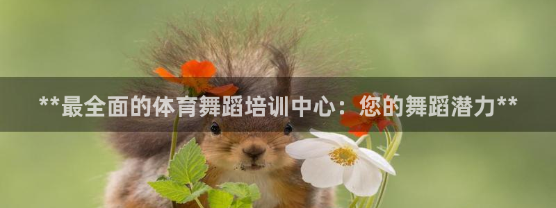 尊龙人生就是博ag：**最全面的体育舞蹈培训中心：您