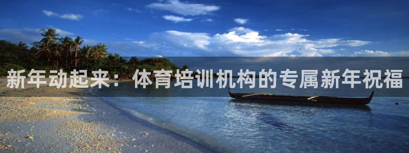 尊龙凯时官网正规吗：新年动起来：体育培训机构的专属新