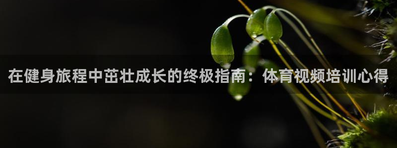 尊龙凯时网站不让提款：在健身旅程中茁壮成长的终极指南