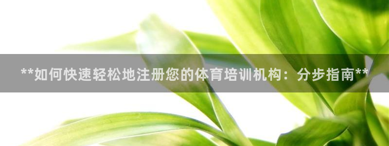 尊龙凯时开发：**如何快速轻松地注册您的体育培训机构