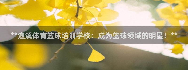 尊龙凯时人生就博：**渔溪体育篮球培训学校：成为篮球