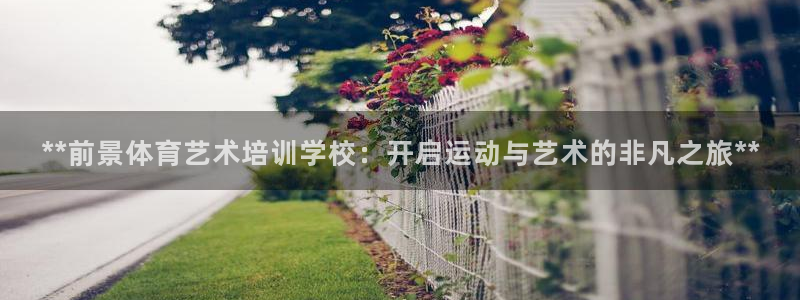尊龙凯时这个平台怎么样：**前景体育艺术培训学校：开