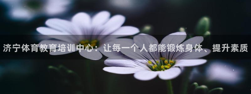 新版尊龙99