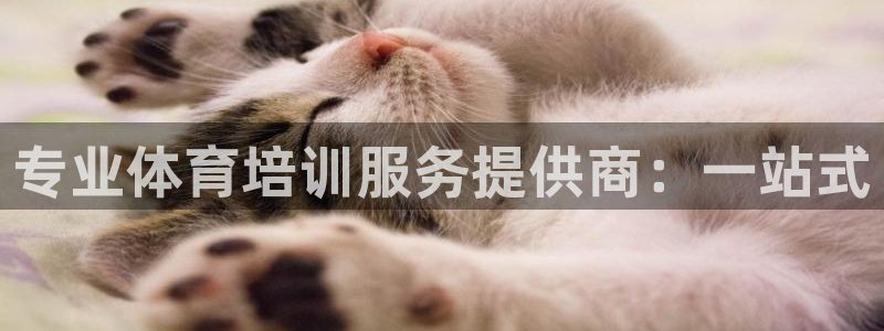 尊龙凯时链接