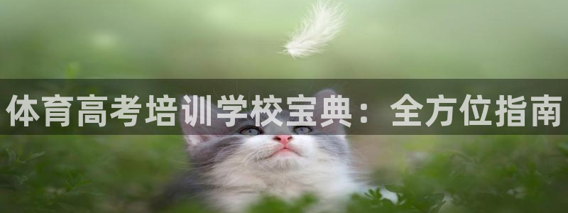 尊龙是什么软件：体育高考培训学校宝典：全方位指南