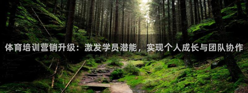 凯时官网