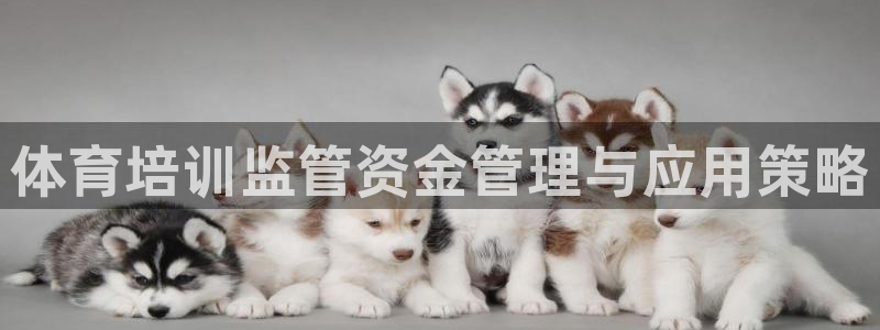 尊龙旗舰厅：体育培训监管资金管理与应用策略