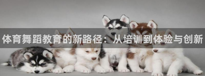 凯时k66登录：体育舞蹈教育的新路径：从培训到体验与