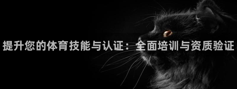 尊龙官方网站最新版V9.3.06介绍：提升您的体育技