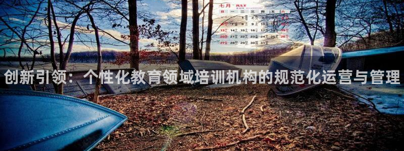 有人在凯时赢过钱吗：创新引领：个性化教育领域培训机构
