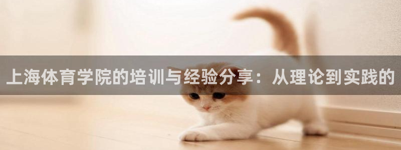 尊龙官网下载：上海体育学院的培训与经验分享：从理论到实践的