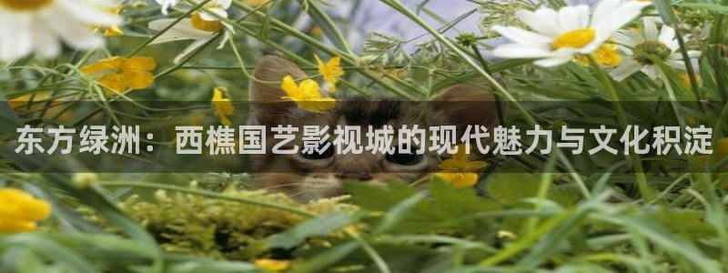 午夜羞羞影院在线观看：东方绿洲：西樵国艺影视城的现代魅力与文化积淀