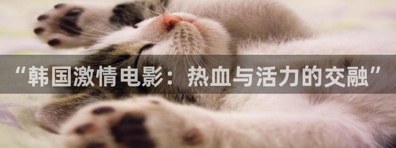 亚洲羞羞影院：“韩国激情电影：热血与活力的交融”