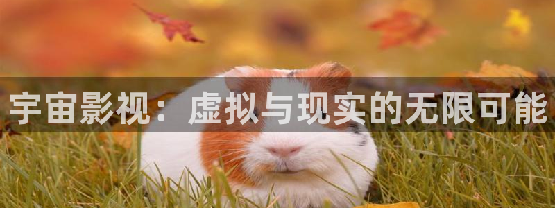 羞羞影院在线看：宇宙影视：虚拟与现实的无限可能