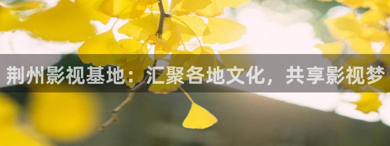 羞羞影视网址：荆州影视基地：汇聚各地文化，共享影视梦