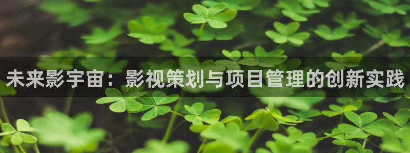 羞羞影院体验区：未来影宇宙：影视策划与项目管理的创新实践