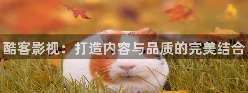 羞羞影院网站入口：酷客影视：打造内容与品质的完美结合