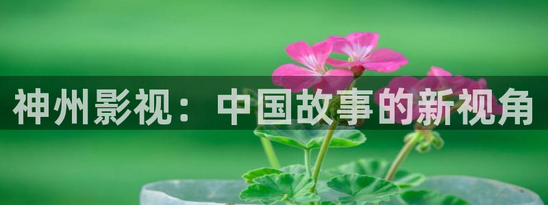 羞羞影院网址